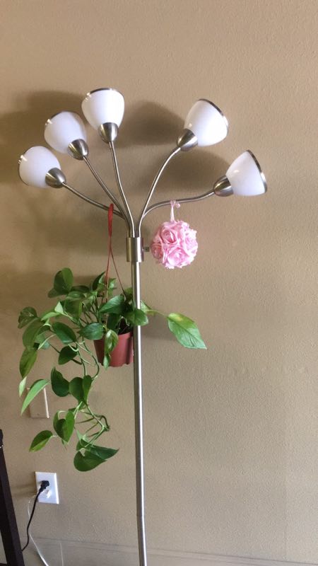 Lincoln Massage, massage service in Yuba City, CA, photo 5 of 10